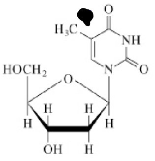 <p>Welk molecuul?</p>