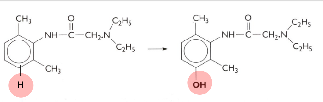 <p>What kind of reaction is this? And what phase does this occur?</p>