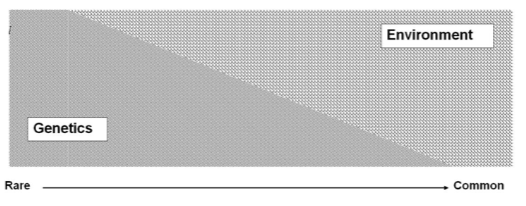 <p>There is a <strong>spectrum</strong> of genetic vs. environmental risk factors, not discrete categories.</p>