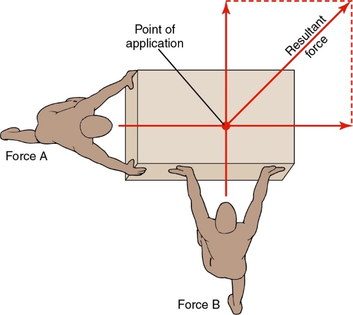 <p>Concurrent forces</p>