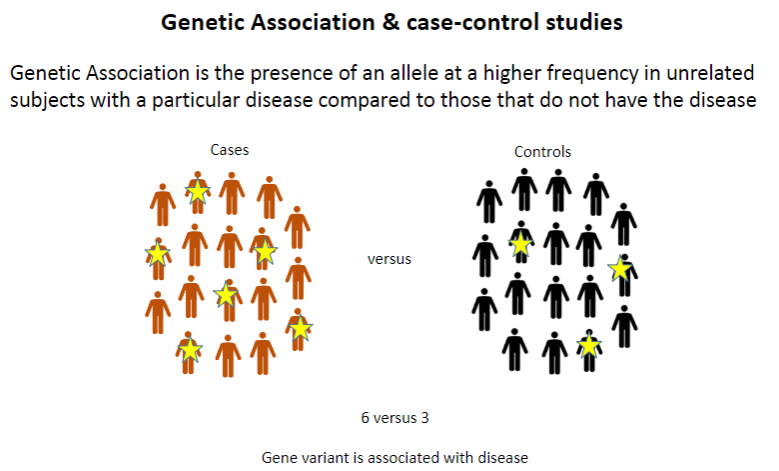 <p><strong>Genetic association</strong> refers to the presence of an allele at a higher frequency in unrelated individuals with a particular disease compared to those without the disease.</p>