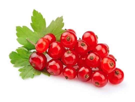 red currant