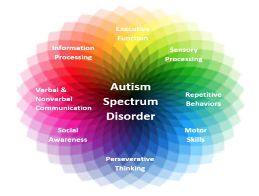 <p>-Onset in infancy or early childhood</p><p>-Spectrum of autism disorder ranges from mild to severe</p><p>-From intellectually disabled normal to high intelligence levels</p><p><strong>Warning signs</strong></p><p>-Does not imitate</p><p>-Lack of interest in joint attention</p><p>-Eye contact abnormalities</p><p>-Delayed language development</p><p>-Failure to develop symbolic-imaginative play</p><p>-Losing language or social skills at any age (Volkmar, 2019)</p>