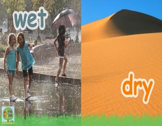 <p>wet and dry</p>