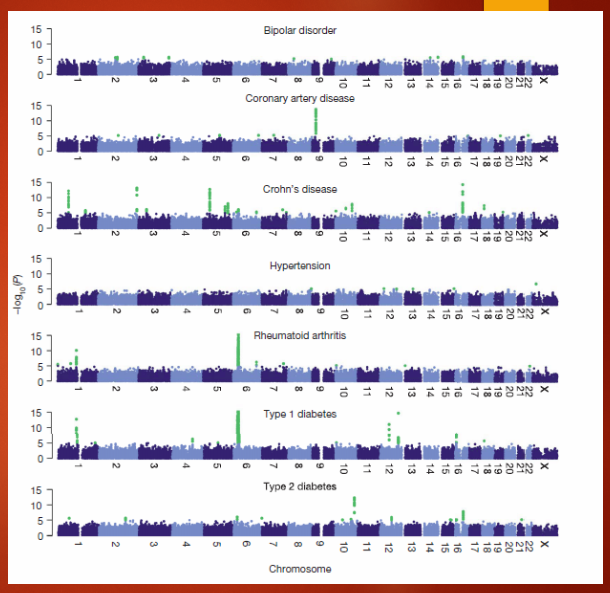 <p><strong>Manhattan plots</strong> show the association of <strong>SNP markers</strong> with <strong>seven diseases</strong> studied by the WTCCC.</p><p>The <strong>x-axis</strong> represents the position of SNP markers on chromosomes, and the <strong>y-axis</strong> represents the <strong>-log10(p-value)</strong>.</p><p><strong>Green peaks</strong> in the plot indicate <strong>significant p-values</strong>, suggesting strong associations with the diseases.</p>