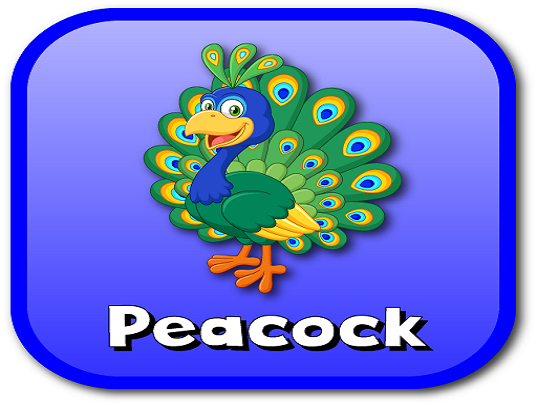 peacock