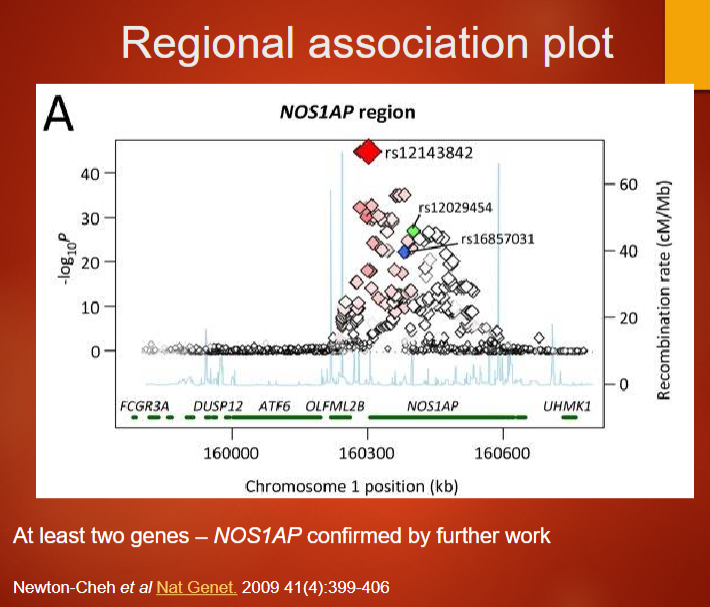 <p>A <strong>regional association plot</strong> visualizes genetic associations within a specific genomic region, showing SNPs' p-values along the chromosome.</p><p>The plot helps identify <strong>genes</strong> that may be implicated in a trait, such as <strong>NOS1AP</strong>, which has been linked to cardiac traits like the QT interval.</p><p>Further research confirmed <strong>NOS1AP</strong>'s role in regulating <strong>QT interval duration</strong>, supporting its significance in <strong>heart disease</strong>.</p>