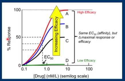 <p>Refers to the effect of the drug/ the biological effect, the more effect the drug has the more efficacious. e.g. increase in heart rate</p>