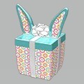 <p>springy kangaroo gift box</p>