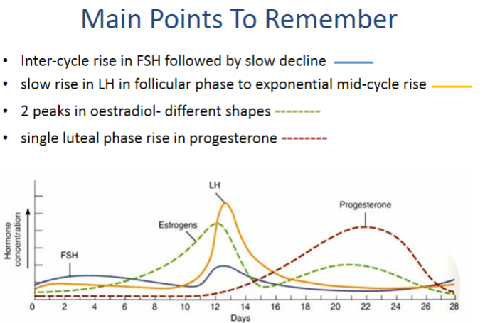 <p>Inter-cycle rise in FSH followed by slow decline.</p><p>Slow rise in LH during the follicular phase, followed by an exponential mid-cycle rise.</p><p>Two peaks in oestradiol with different shapes.</p><p>Single luteal phase rise in progesterone.</p>