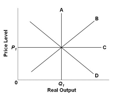 <p>Refer to the diagram relating to short-run and long-run aggregate supply. The:</p><p></p><p>A. long-run aggregate supply curve is B.</p><p></p><p>B. short-run aggregate supply curve is A.</p><p></p><p>C. short-run aggregate supply curve is B.</p><p></p><p>D. long-run aggregate supply curve is D.</p>