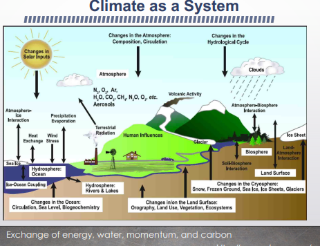 <p>humans cultivate and change their surrounding geography, lanf use, vegetation, ecosystem, changing the biosphere. humans build things and change the atmosphere releasing fossil fuels and heating atmosphere hurting land</p><p></p><p>water cycle sun melts ice and also heats water to evaporate and clouds condense and then rain down</p>