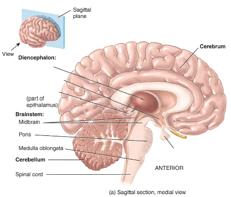 <p>Label the diagram.</p>