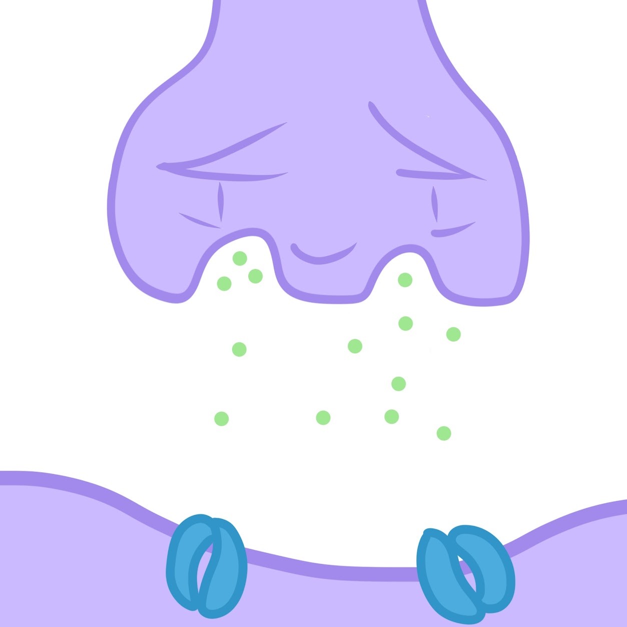 <p><span class="tt-bg-yellow">Synaptic vessels</span> containing neurotransmitter <span class="tt-bg-yellow">fuses</span> with plasma membrane at synapse, r<span class="tt-bg-yellow">eleasing neurotransmitter </span>within the synaptic cleft</p>