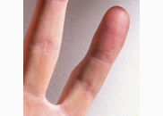 <p>fingers</p>