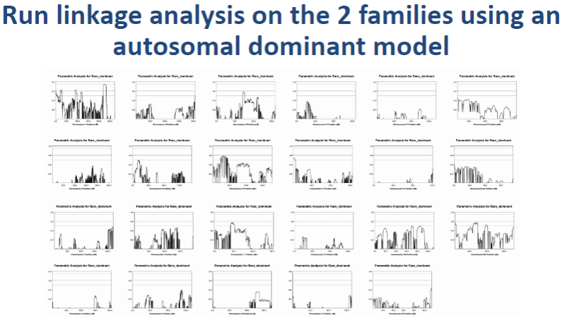 <p><strong>Choose a linkage program</strong>: Use software such as <strong>Merlin</strong> or <strong>PLINK</strong> to run the linkage analysis.</p><p><strong>Set inheritance model</strong>: In the software, set the inheritance pattern to <strong>autosomal dominant</strong>. This will assume that one copy of the mutant allele is sufficient to cause the disease. The program will then compare the genotypes between affected and unaffected family members to identify linked genomic regions.</p>