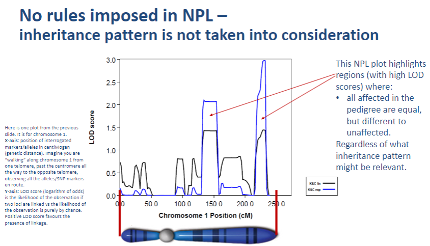 <p><strong>NPL</strong> does not impose any rules on the inheritance pattern, meaning it does not require assumptions about the genetic model.</p>