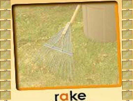 rake