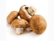 <p>crimini mushrooms</p>