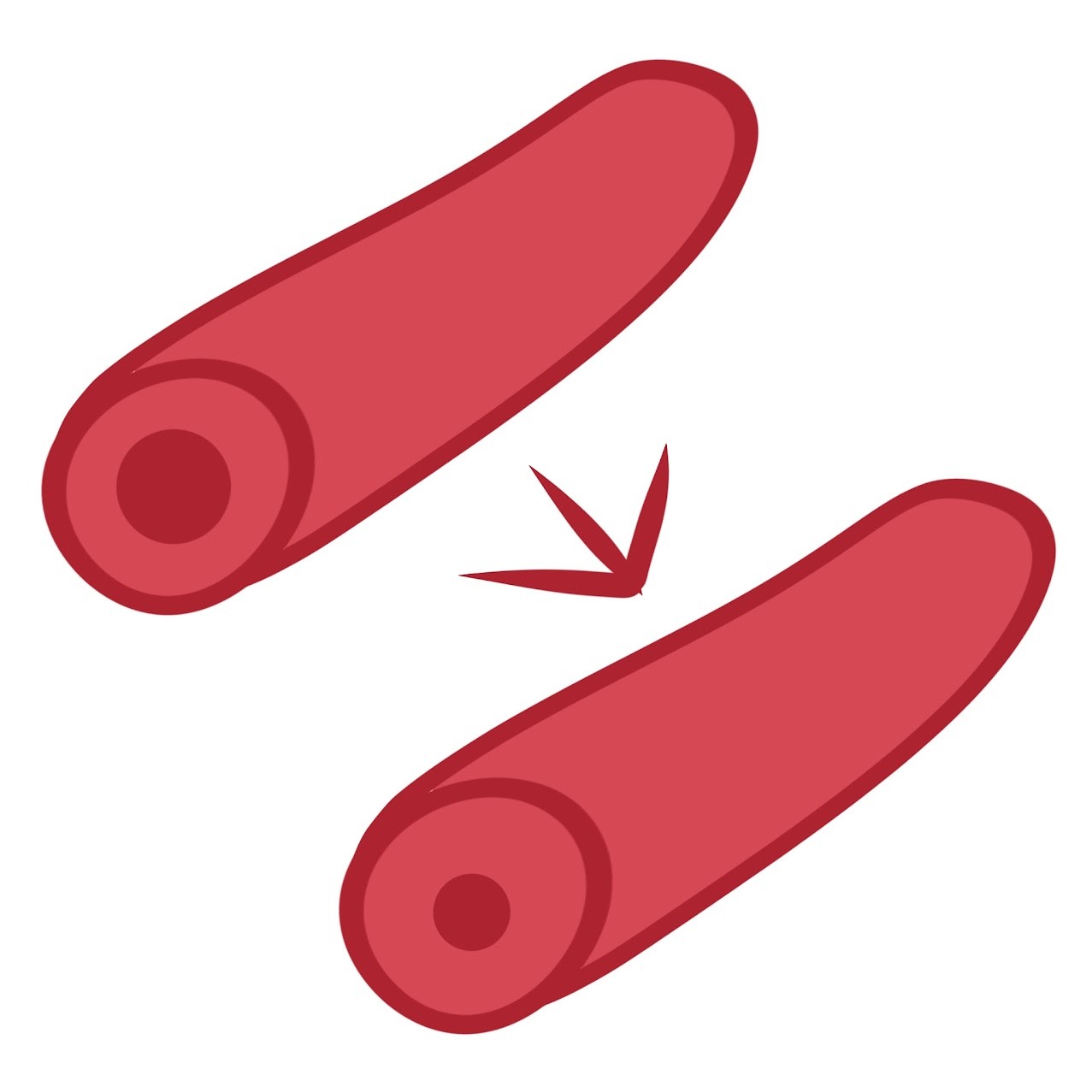 <p>Blood flow in the skin <span class="tt-bg-green">decreases</span>, <span class="tt-bg-green">lowering</span> heat loss</p>