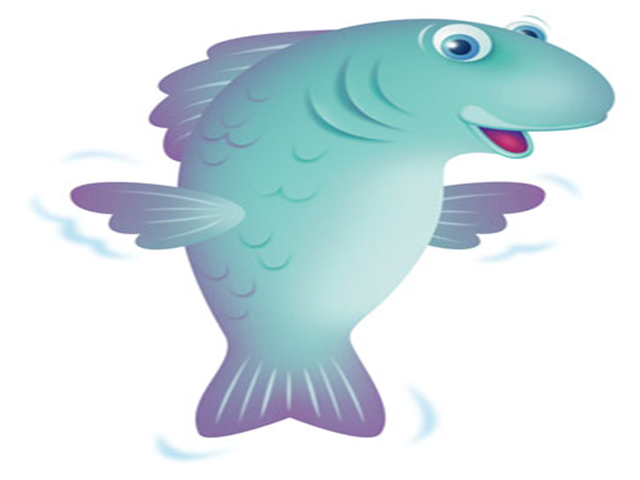 <p>fifi fish</p>