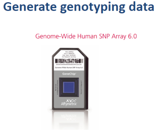 <p><strong>Collect DNA samples</strong>: Obtain DNA samples from family members, especially affected individuals, and unaffected controls.</p><p><strong>Genotyping</strong>: Use a genotyping tool, like a SNP array or microarray, to analyze the DNA and generate data on genetic variants (SNPs) across the genome. The data will include information about the alleles present at specific loci for each family member.</p>