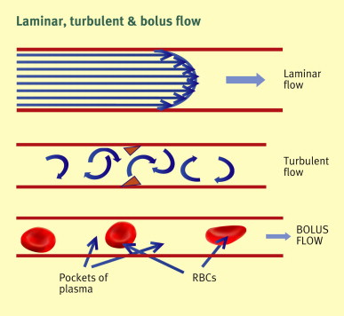 <p>-RBCs have a larger diameter than diameter of capillaries, so move in single file</p><p>-Plasma columns are trapped between RBC Uniform velocity, little internal friction &amp; very low resistance</p>