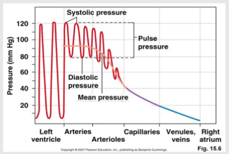 <p>Is the difference between the systolic and diastolic blood pressure readings</p><p>-It is a measure of the force exerted by the blood as it is ejected from the heart during systole and the pressure in the arteries when the heart is at rest during diastole</p>