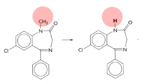 <p>What kind of reaction is this? What phase does this occur?</p>