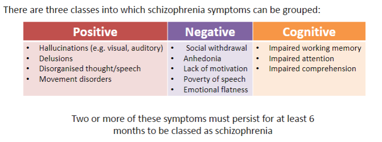 <p><strong>Two or more symptoms</strong> must persist for at least <strong>6 months</strong> to be classed as schizophrenia.</p>